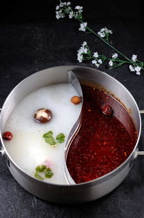 鄭州我和你火鍋餐飲服務 圖冊中的匠心與體驗